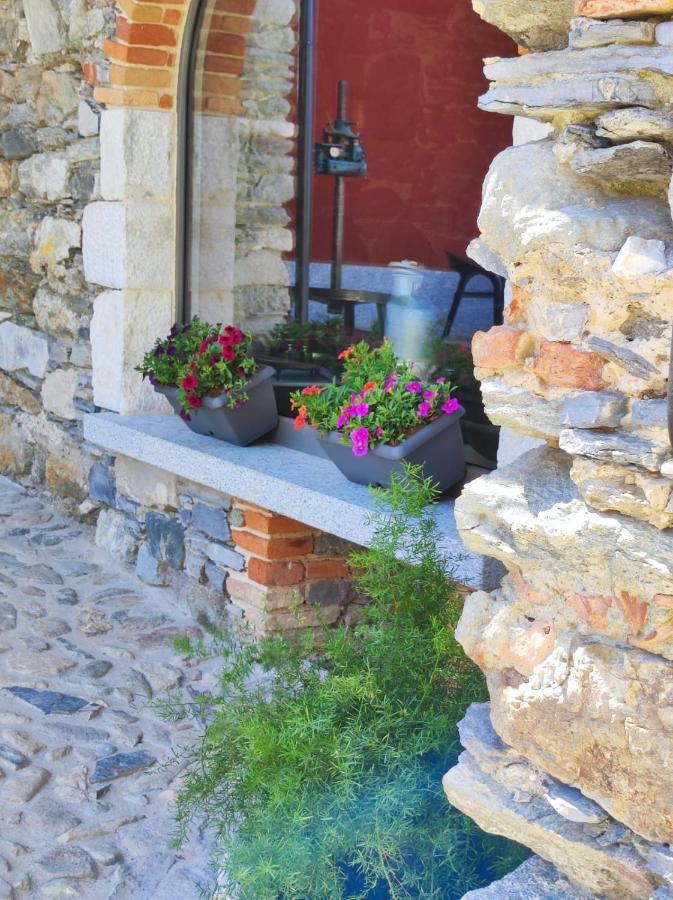 Agriturismo Il Medeghino Musso ภายนอก รูปภาพ